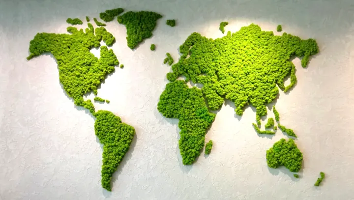 Mapa světa z jarně zeleného sobího mechu o rozměru 250×154 cm na světlé stěně