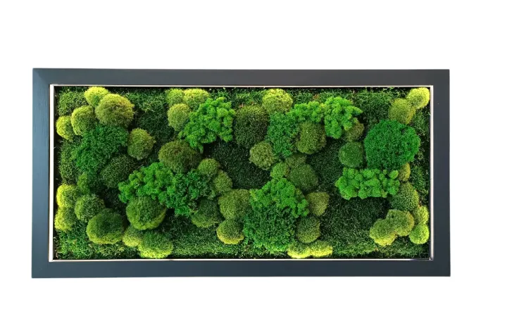 Mechový obraz 100×50 cm v antracitovém rámu s LED osvětlením
