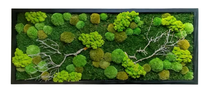 Dlouhý mechový obraz 136×56 cm v černém rámu s mixem mechů a světlými větvemi