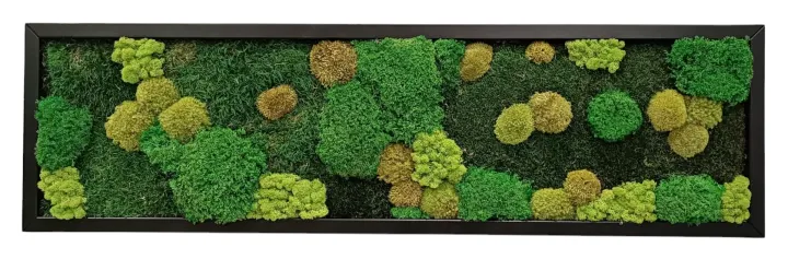 Úzký mechový obraz 140×40 cm v černém dřevěném rámu s mixem mechů